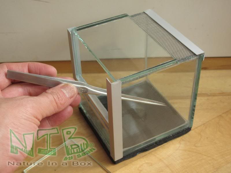 Convert a glass aquarium to a European style terrarium Dendroboard